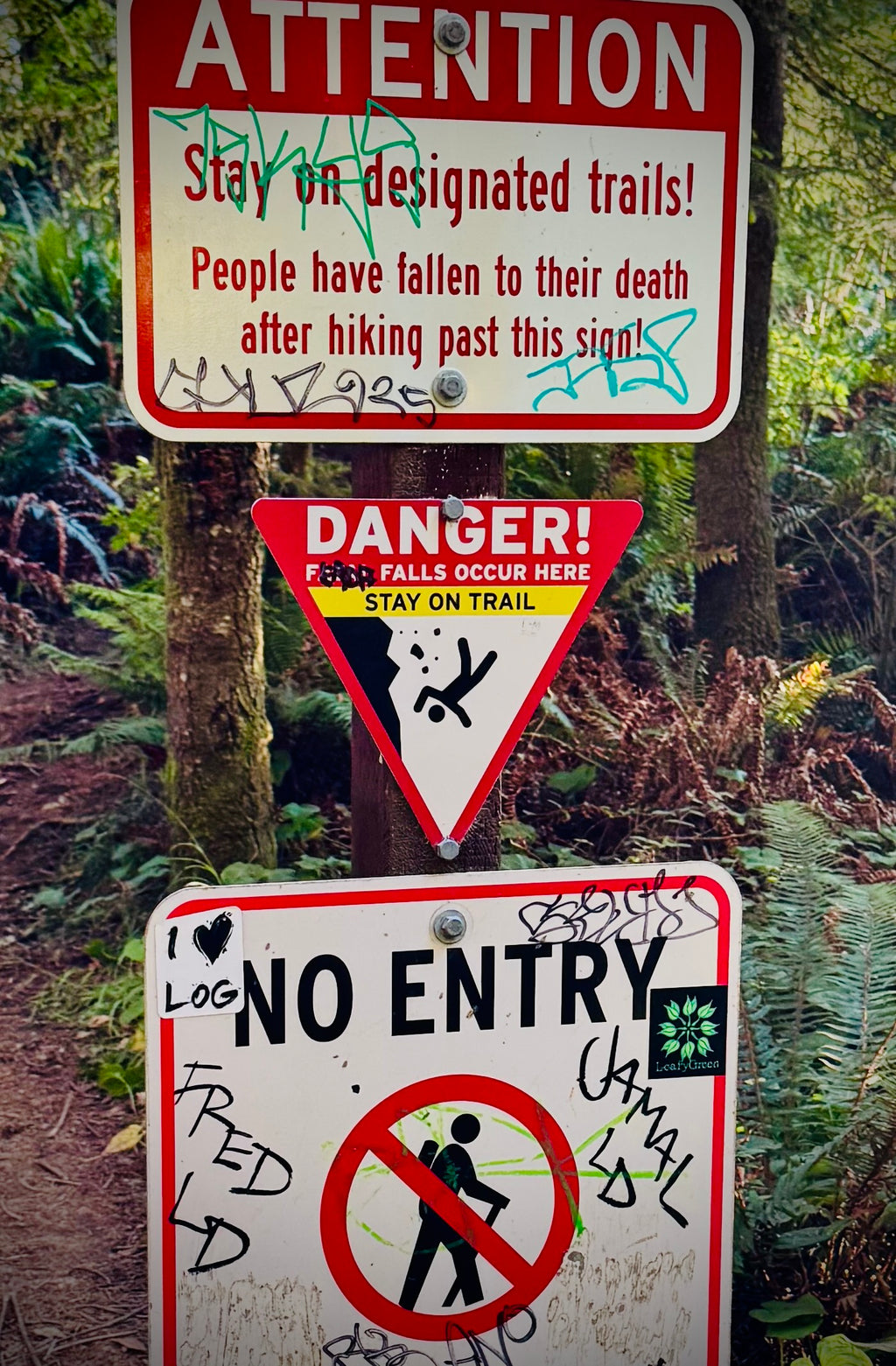 YOLO! Hiking Club sticker